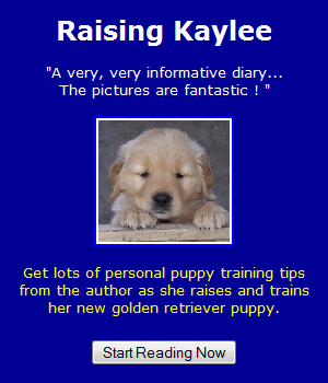 Puppy Crate Training
