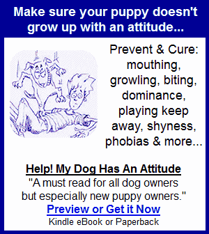 Dog and Puppy Training Book