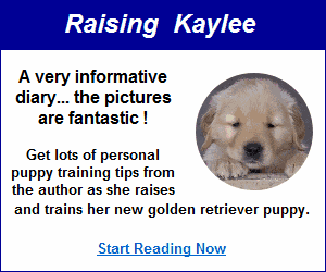 Puppy Training Tips Puppy Training Tips