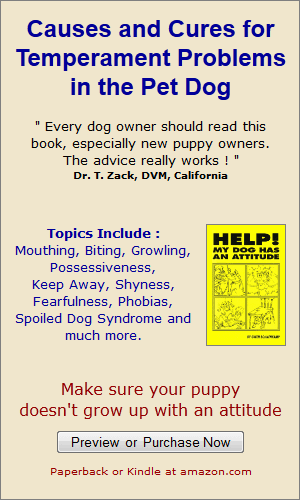 Dog and Puppy Training Book
